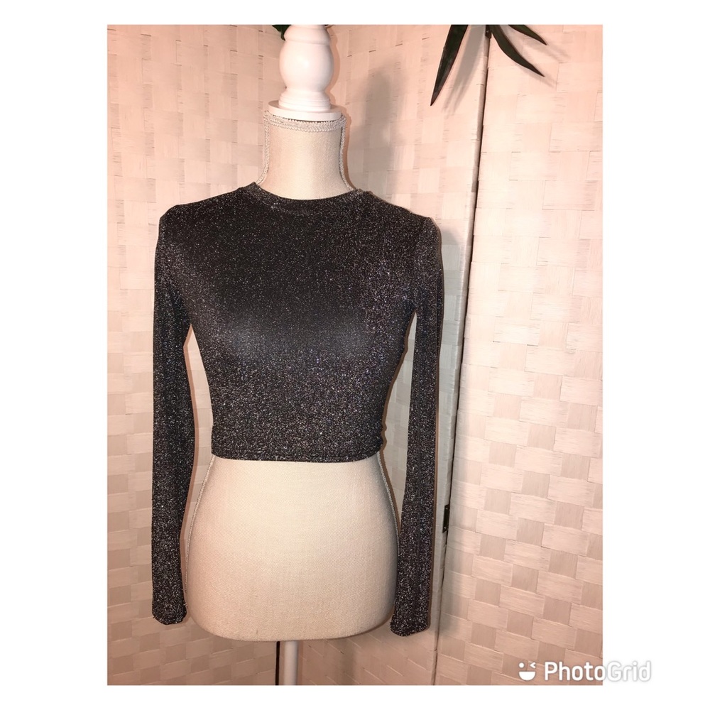 Forever 21 Shimmer Silver Long Sleeve Crop Top